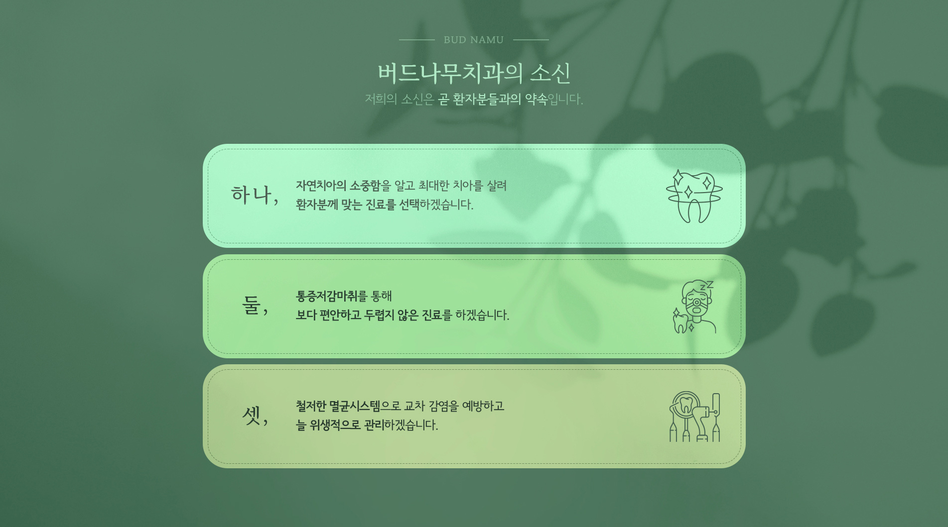 버드나무치과의 소신