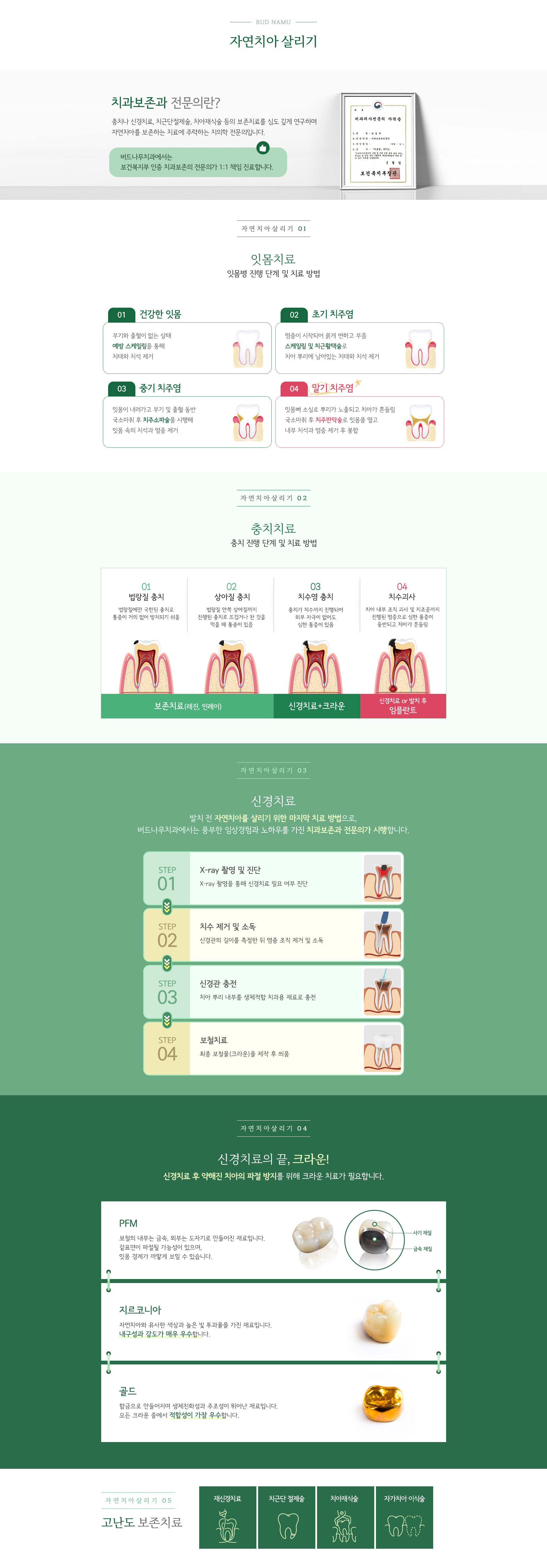 자연치아 살리기