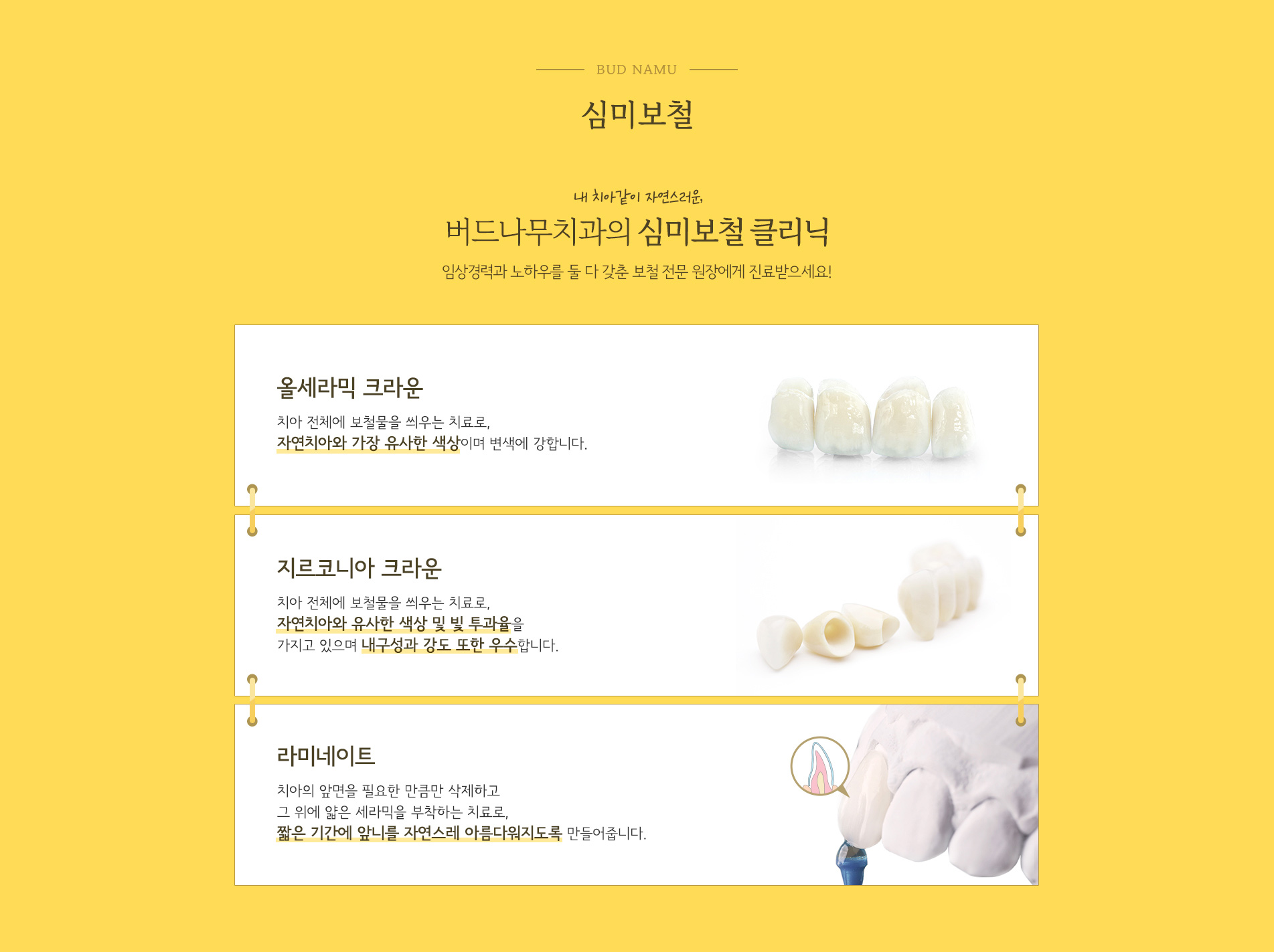 심미보철