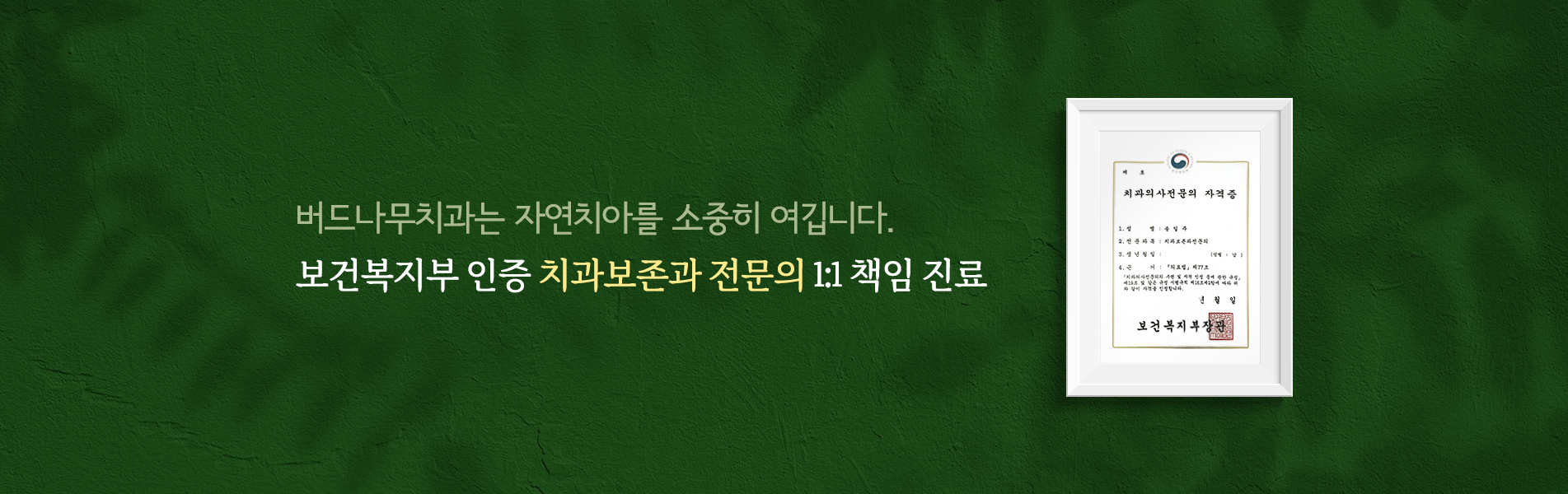 치과보존과 전문의 1:1 책임 진료